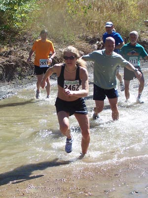 Cheryl Laslo